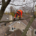 Trimming Trees Near Roof: Essential Tips for Roof Repair and Maintenance