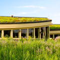 A Comprehensive Guide to Green Roofs