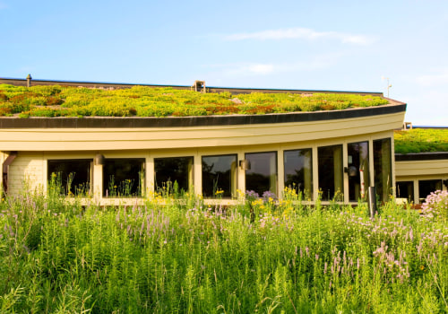 A Comprehensive Guide to Green Roofs